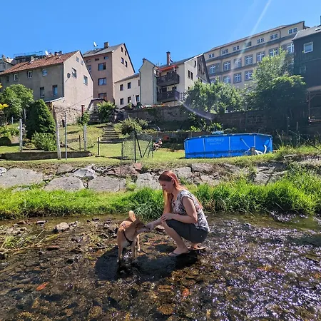 Urlaubsmagie - Ferienwohnung Unterholz - Sauna & Saisonaler Pool Lägenhet
